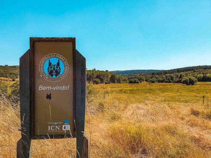 Ezgif.com Webp To Jpg (1)