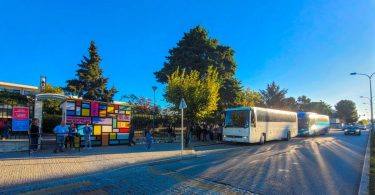 384334341 731515755682824 6778443943061631621 N