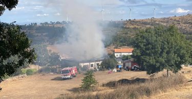 Whatsapp Image 2023 09 02 At 10.31.34