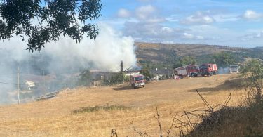 Whatsapp Image 2023 09 02 At 10.31.38