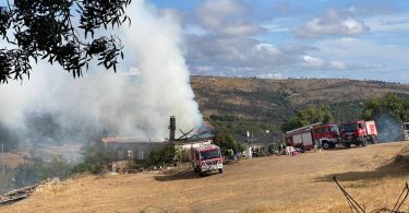 Whatsapp Image 2023 09 02 At 10.31.39