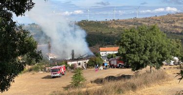 Whatsapp Image 2023 09 02 At 10.31.41 (1)