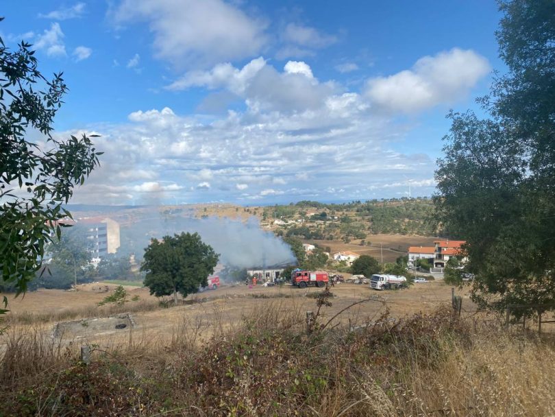 Whatsapp Image 2023 09 02 At 10.31.42