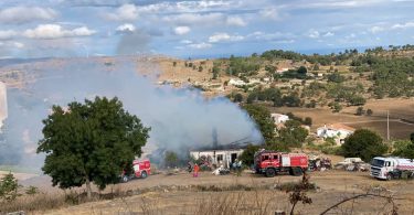 Whatsapp Image 2023 09 02 At 10.31.43