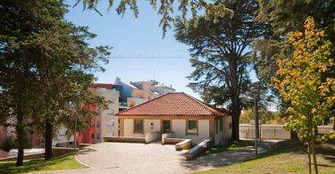 22017378585 B4f1fcaaf9