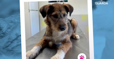 400156570 709082131254909 8942738308544012117 N