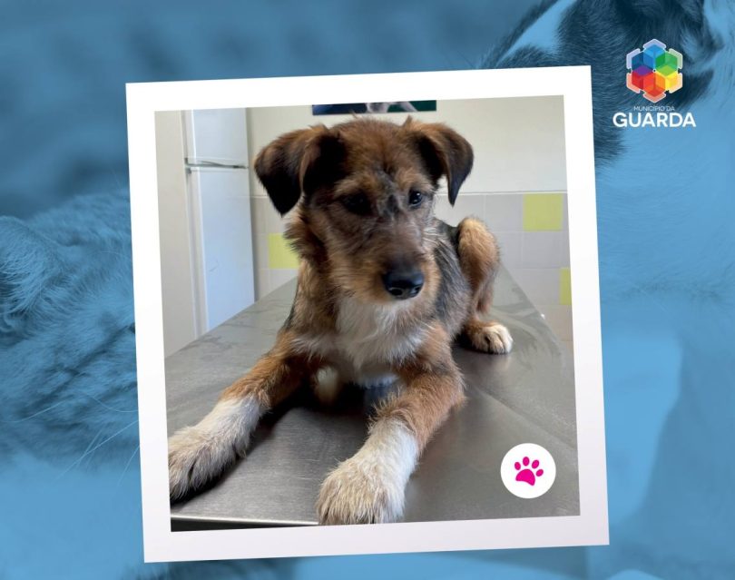 400156570 709082131254909 8942738308544012117 N