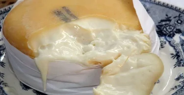 27458963 1647460538655475 4691524911991658385 N