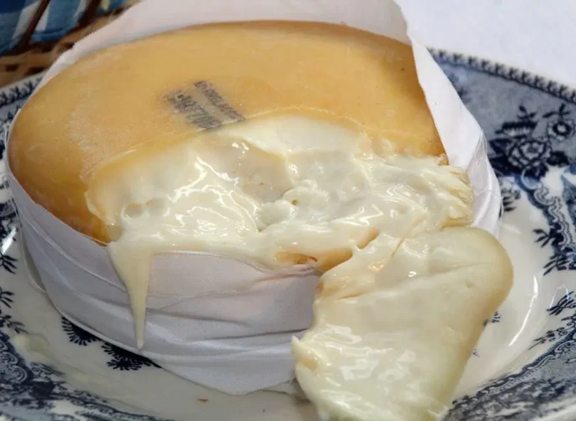 27458963 1647460538655475 4691524911991658385 N