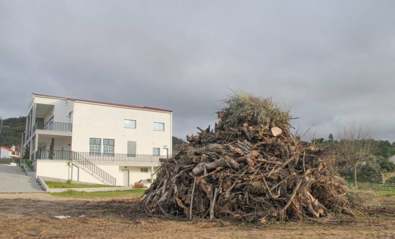 319940415 3278816982433296 6251076237019985601 N