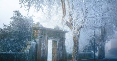 410918138 763510855819295 4240624657227949067 N