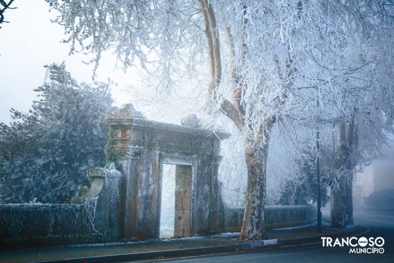 410918138 763510855819295 4240624657227949067 N