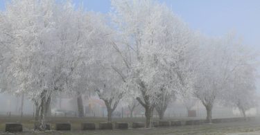 410968431 763510762485971 2483904948552194040 N