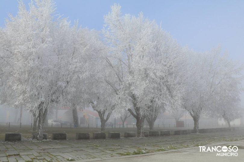 410968431 763510762485971 2483904948552194040 N