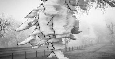 410974381 763510429152671 4572821520945750996 N