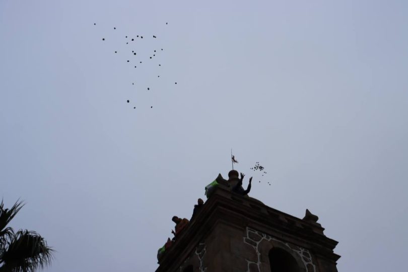 Img 3453