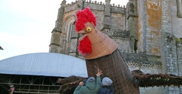 427968739 788477373310523 3269800404570534190 N