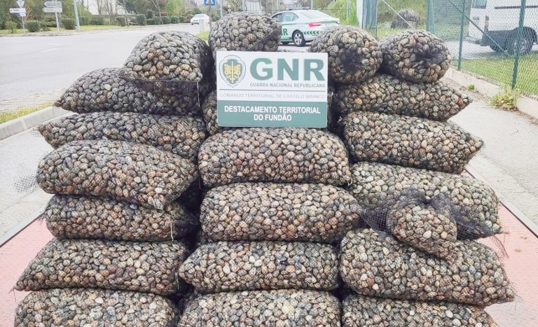 Gnr C. Branco Apreensao 002 768x576