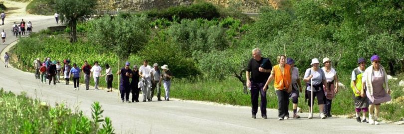 Peregrinos A Pe