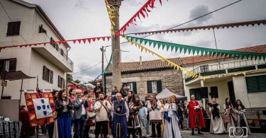 350025694 718891016702329 7933771095225491657 N