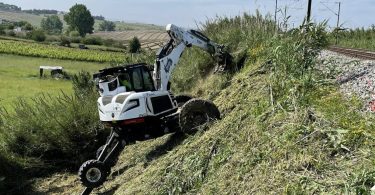 Floresta Bem Cuidada 2