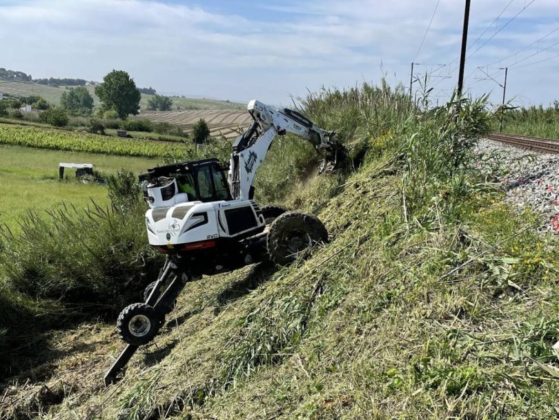 Floresta Bem Cuidada 2