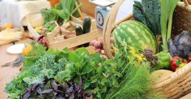 Whatsapp Image 2022 08 27 At 17.54.35