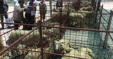 Whatsapp Image 2024 06 02 At 14.16.20 (2)