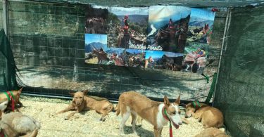 Whatsapp Image 2024 06 02 At 14.16.21 (1)