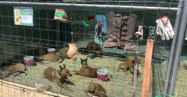 Whatsapp Image 2024 06 02 At 14.16.21 (2)