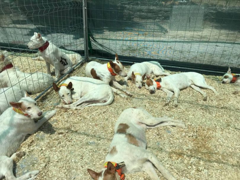 Whatsapp Image 2024 06 02 At 14.16.21 (3)