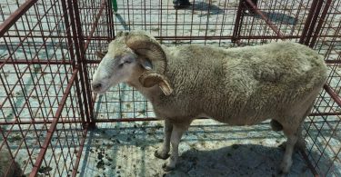 Whatsapp Image 2024 06 02 At 14.16.21