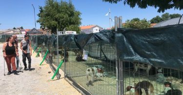 Whatsapp Image 2024 06 02 At 14.16.21 (4)