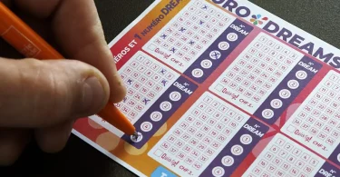 163b36777146deee84cc804b7ed35455 Image 20231207phf9270 Data