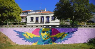 455316804 893632626140720 9015516839823784125 N