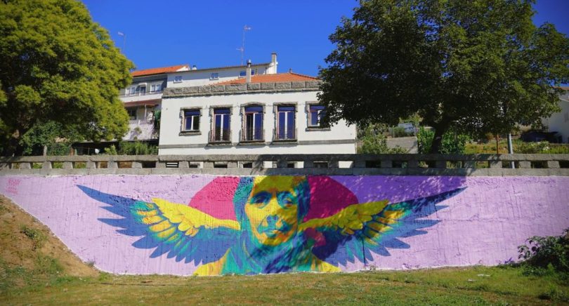 455316804 893632626140720 9015516839823784125 N