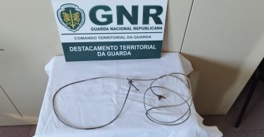 456287062 946338900870105 3336769067698090087 N