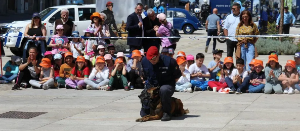 Captura De Ecrã 2024 08 27 143905