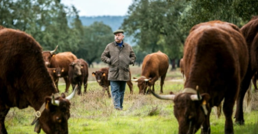 Captura De Ecrã 2024 08 29 110437