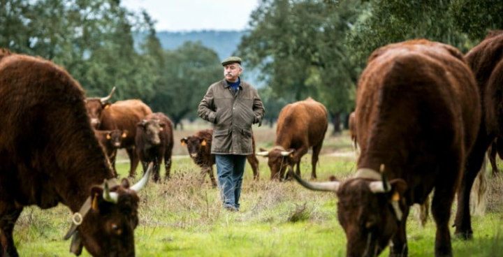 Captura De Ecrã 2024 08 29 110437