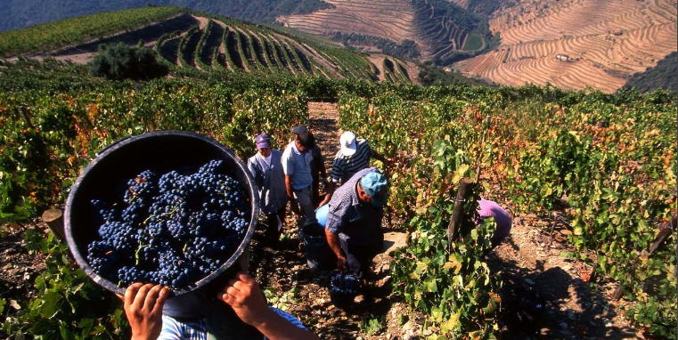 Captura De Ecrã 2024 08 29 121637