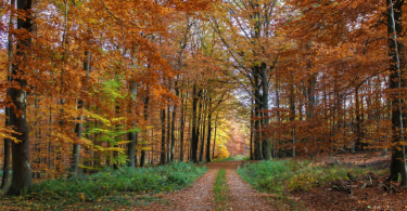 Captura De Ecrã 2024 08 29 202208