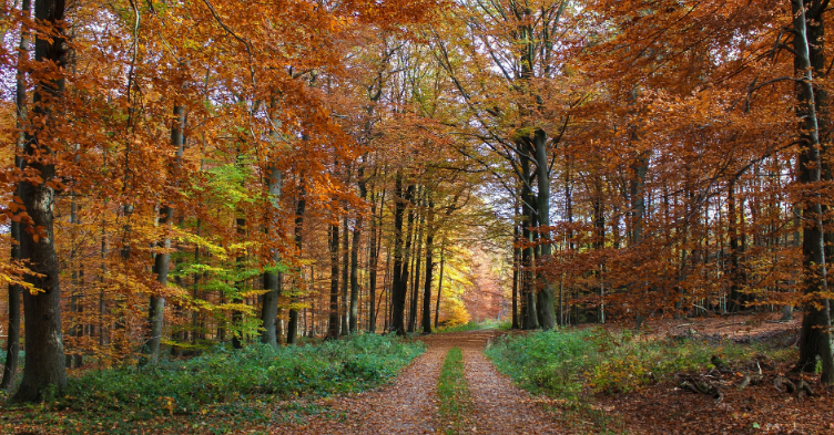 Captura De Ecrã 2024 08 29 202208