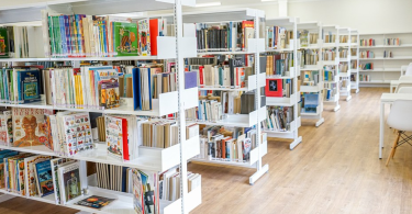 Captura De Ecrã 2024 08 30 123216