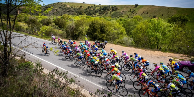 Captura De Ecrã 2024 08 30 185409