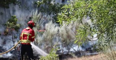 Screenshot 20240819 012929 Chrome