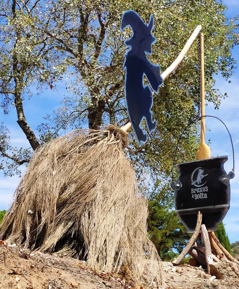 373013874 7366546376706432 2880856083710362281 N