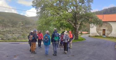 440751936 848414980647527 978891114540572001 N