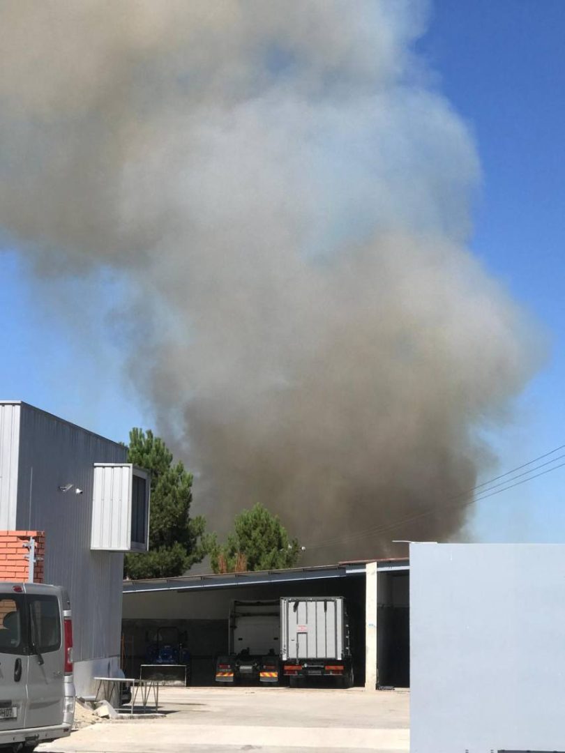 Whatsapp Image 2024 09 10 At 12.01.51 (2)