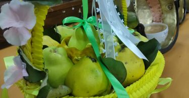 462755551 998276685672176 8867898390629285167 N